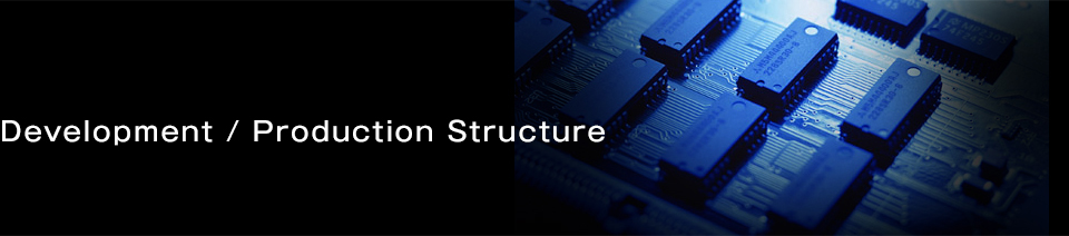 Development / Production Structure